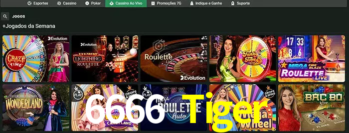 6666 Tiger bet