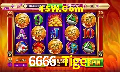 6666 Tiger Belo Horizonte - Payments