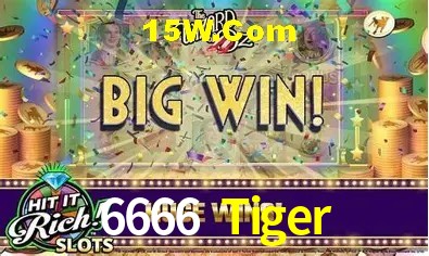 6666 Tiger Brasília - Leaderboards