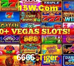 Promoção Relâmpago 6666 Tiger