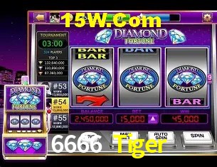 6666 Tiger Brasília - Security