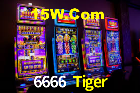 6666Tiger