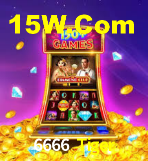 6666 Tiger - App Performance