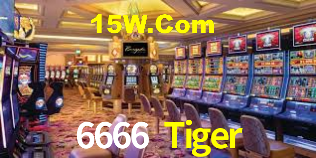 6666 Tiger,6666Tiger