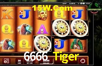 6666 Tiger Fortaleza - Reviews