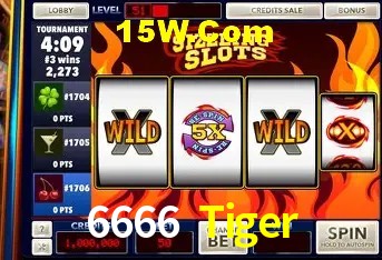 6666 Tiger - User Statistics