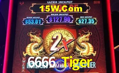 6666 Tiger Salvador - Statistics