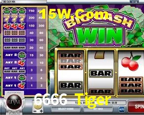 6666 Tiger Salvador - Support