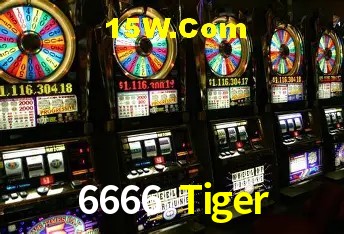 6666 Tiger São Paulo - Hot Promos
