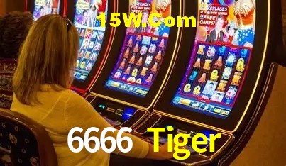 Design Responsivo 6666 Tiger