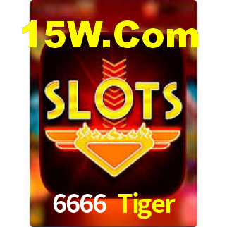 6666 Tiger
