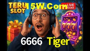Quick Registration 6666 Tiger