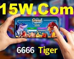 Welcome Bonus 6666 Tiger