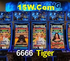 6666 Tiger - Security