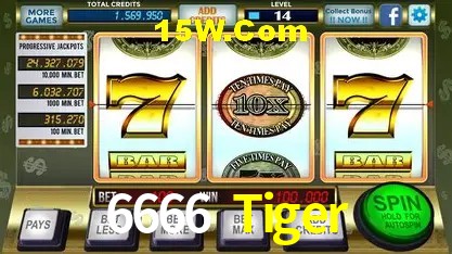 6666 Tiger São Paulo - Jogo Providers