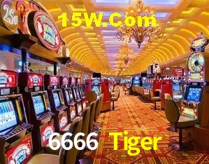 6666 Tiger Belo Horizonte - Winners