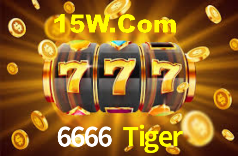 6666 Tiger
