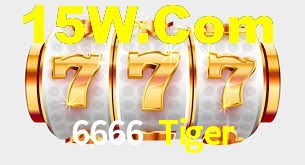 Programa VIP 6666 Tiger