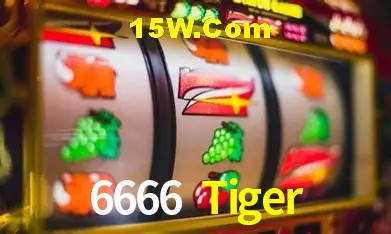 6666 Tiger Curitiba - Statistics