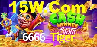 Crash Games Statistics 6666 Tiger