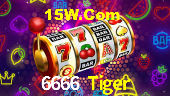 6666 Tiger - Installation Guide