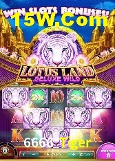 Segurança 2FA 6666 Tiger