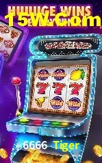 6666 Tiger Salvador - Football