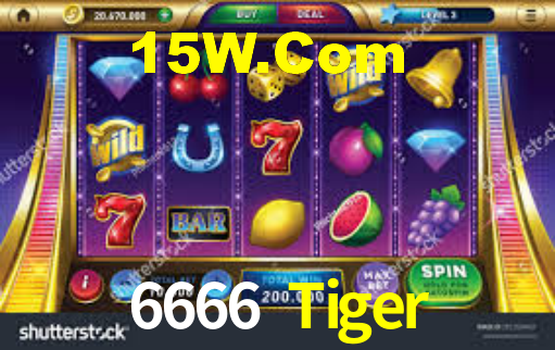 6666 Tiger - App Security