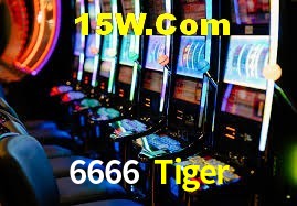 Live Casino 6666 Tiger