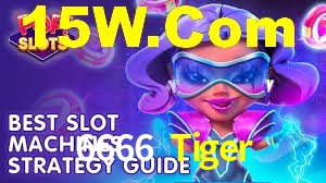 Player Reviews 6666 Tiger