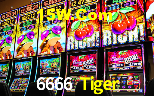 6666Tiger