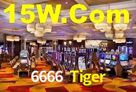 Daily Bonuses 6666 Tiger