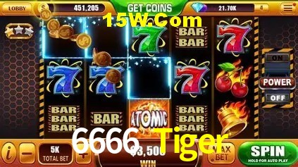 6666 Tiger Fortaleza - Sports Winners