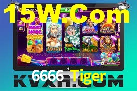 Sports Statistics 6666 Tiger