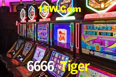 6666 Tiger - Login Methods