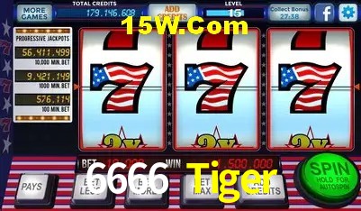 6666 Tiger - Customer Support