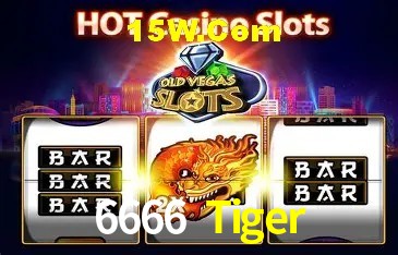 6666 Tiger Salvador - Promo Stats