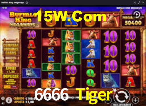 Explore as vantagens do 6666 Tiger: serviço profissional e confiabilidade