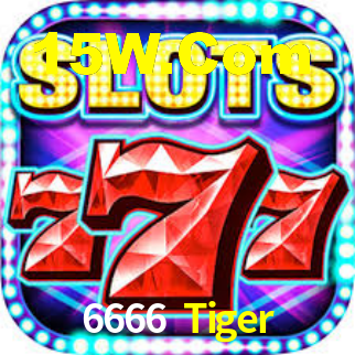 6666 Tiger,6666Tiger