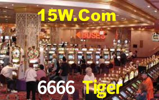 6666 Tiger,6666Tiger